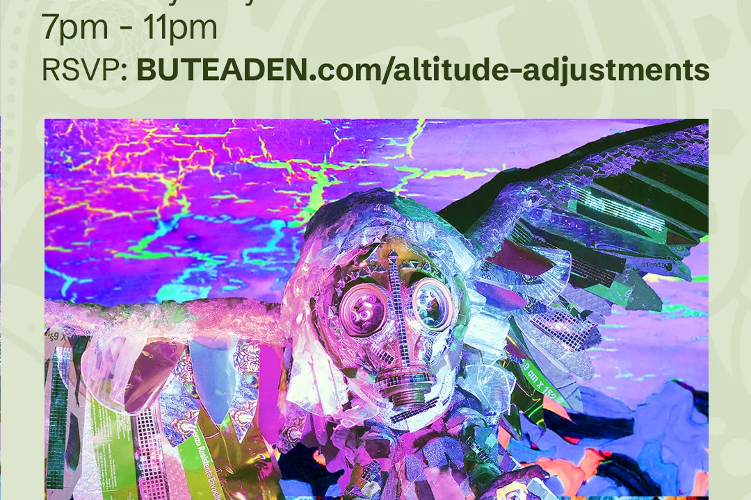 Annie Walker: Altitude Adjustments. event flyer